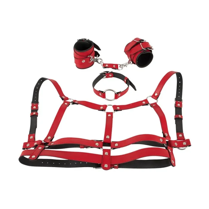 4-piece harness set in leather look