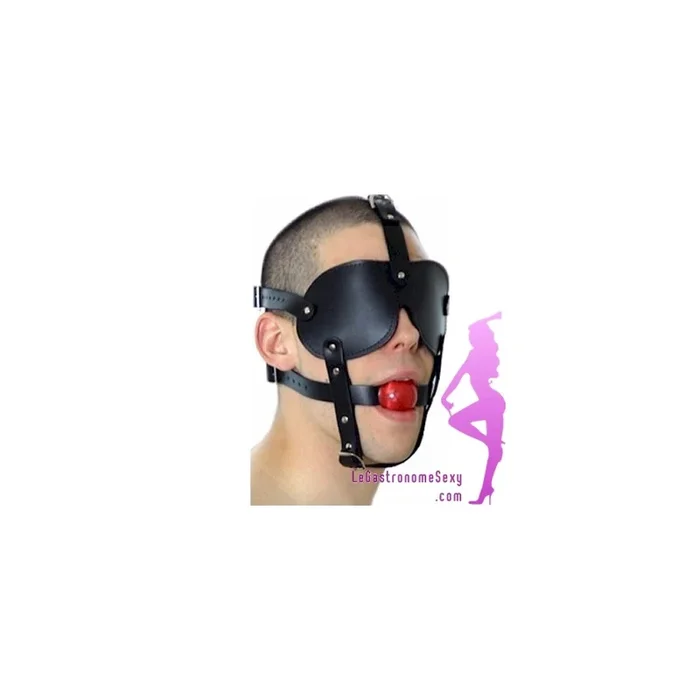 Ball Gag – Bondage Ballknebel mit Maske