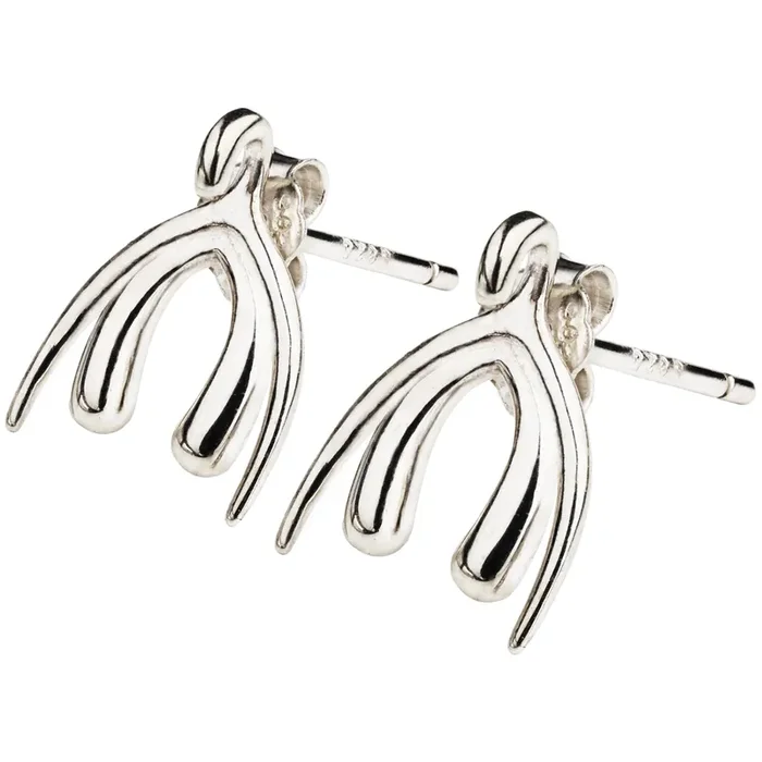 Biird Sterling Silver Clit Ohrringe