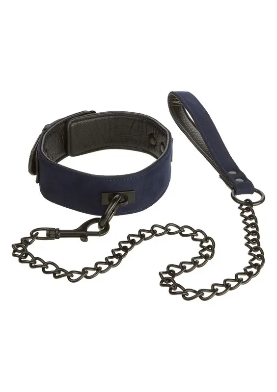 Black&blue Kragen mit Gurt