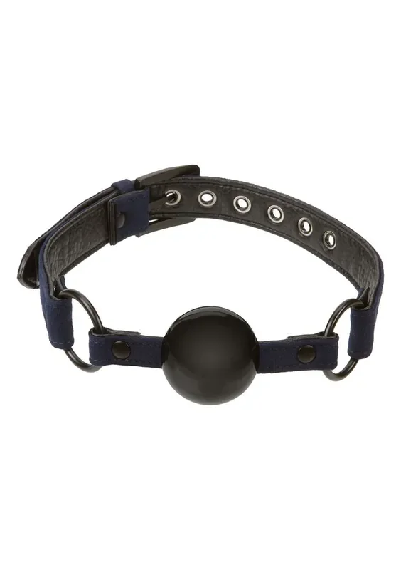 Black&blue Mundknebel
