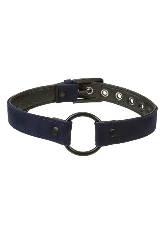 Black&blue Ringknebel