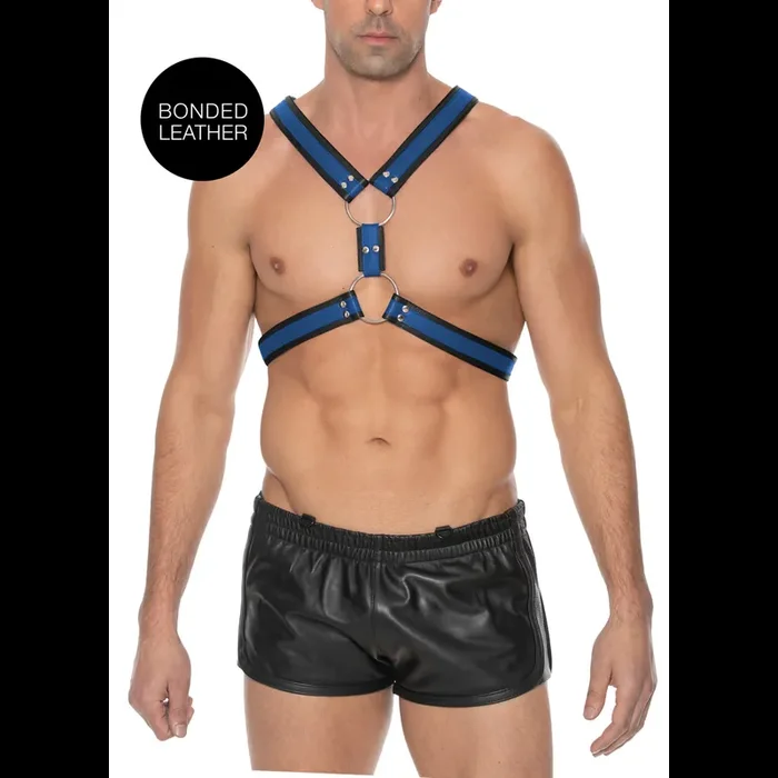 Blau-Schwarzer Scottish Harness – S/M