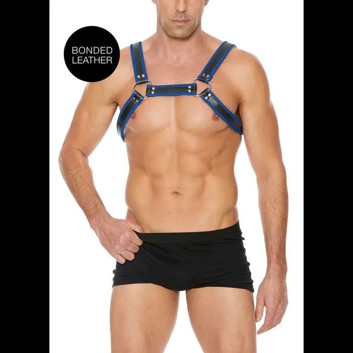 Blau-Schwarzes Bulldog Harness mit Schnallen – L/XL