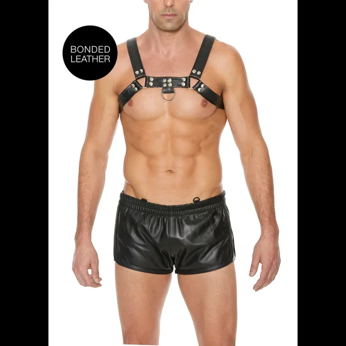 Bulldog Brust-Harness – L/XL