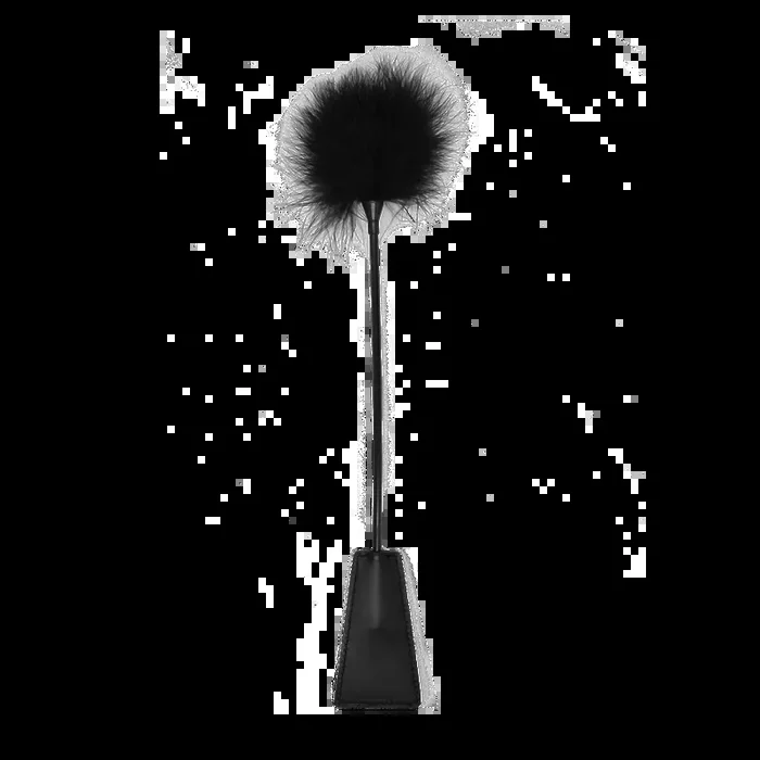 Crop with Feathers