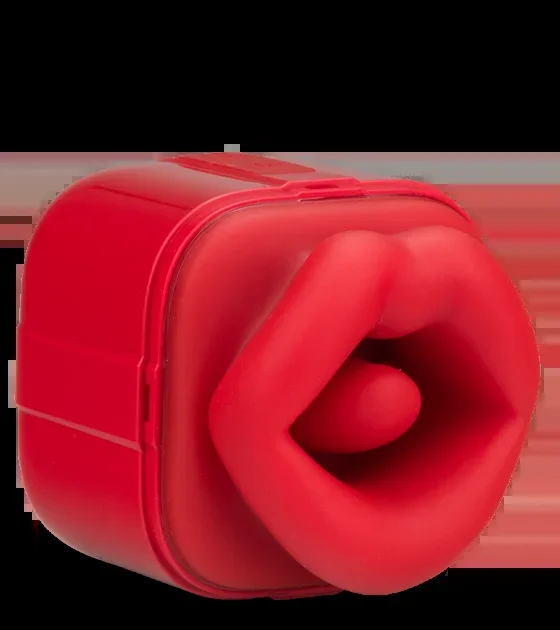 Cunnilingus-Stimulator mit Vibration und Saugfunktion Secret Lick