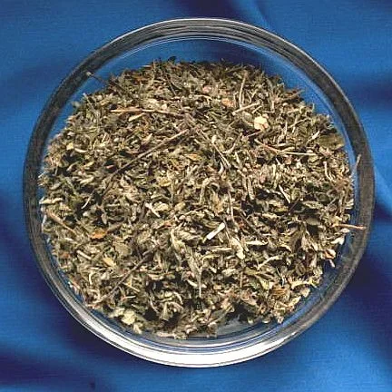 Damiana (Ausführung: I)