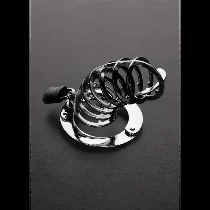 Der Spiked Chastity Cage