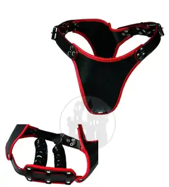 Dildoslip schwarz-rot m. 2 Dildos