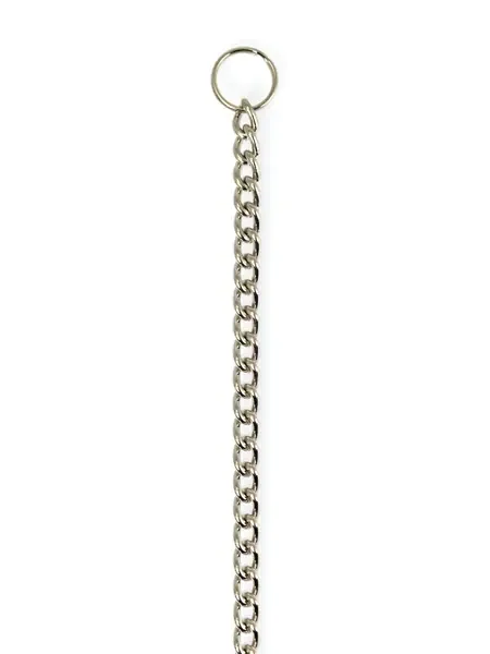 Edelstahlkette mit Ringen (50cm)