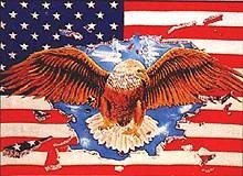Flagge ‚U.S.A. mit Adler‘