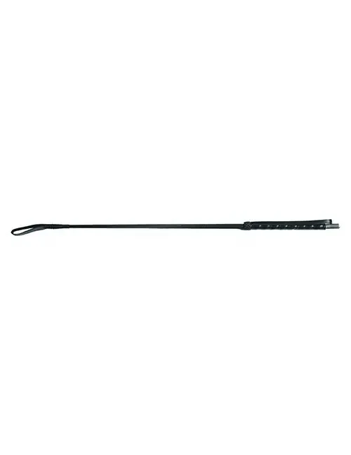 Gerte Leder-Griff mit Handlauf 67cm