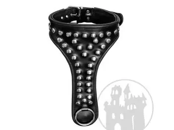 Halsband m. Nietenverziehrung