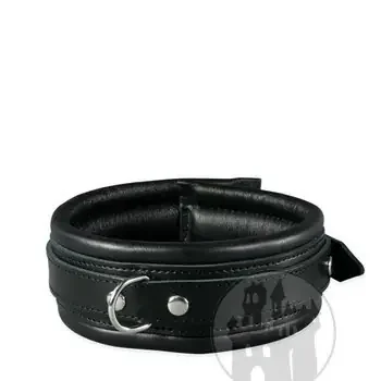 Halsfessel schwarz mit D-Ring