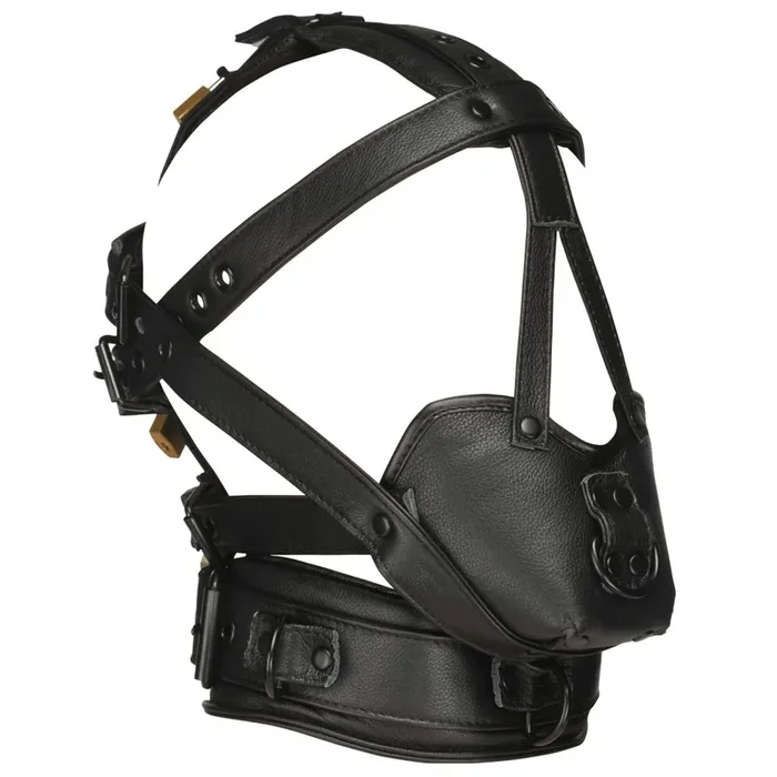 Kunstleder-Kopfharness mit Maulkorb