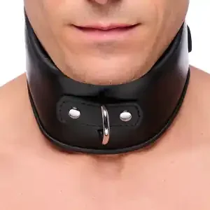Leather Collar