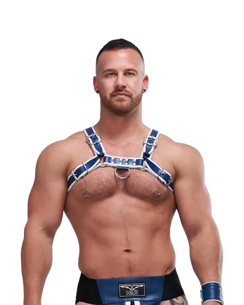 Leder Brustharness ‚Circuit‘ blau/weiß