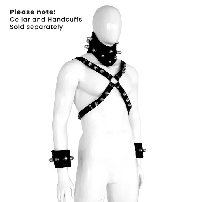 Leder-Harness