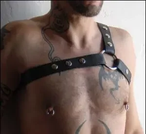 Leder Harness