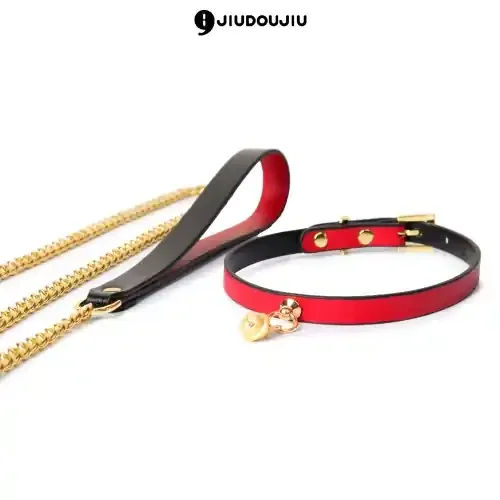 Leine und Halsband