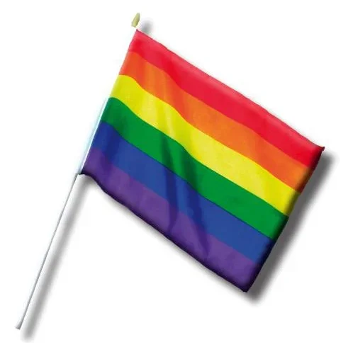 Mini-Flagge Rainbow 20 x 30cm