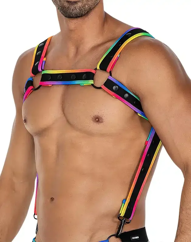 Oberkörper Harness – Regenbogen