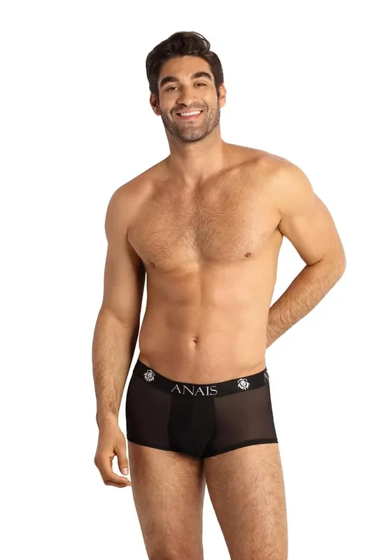 Panty aus Mesh Dessous Hipster Herrenunterwäsche