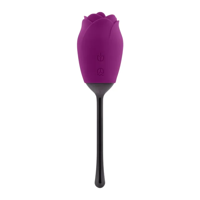 Playboy – Petal Vibrator – Lila/Schwarz