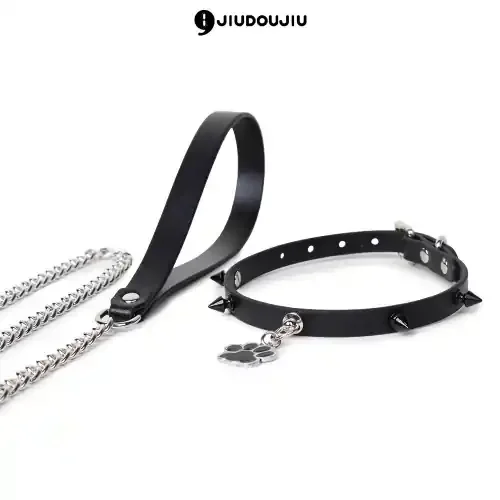 Punk-Puppy Halsband und Leine