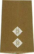 Rangschlaufen (Heer) Bw oliv ‚Oberleutnant‘