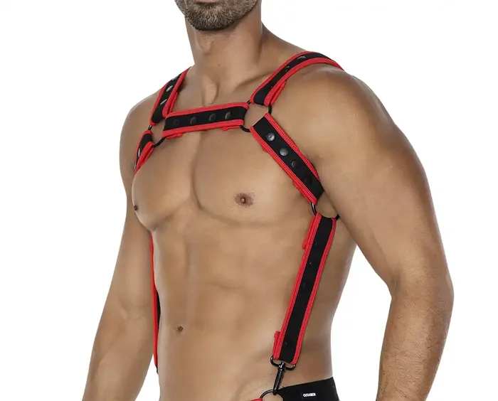 Schwarz/Roter Brust – Harness