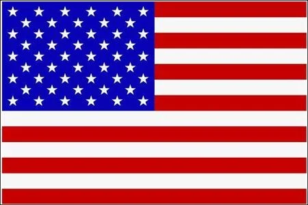 Schwenkfahne mit Holzstab ‚U.S.A‘