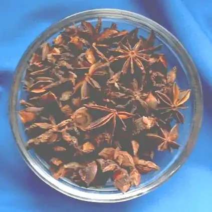 Sternanis