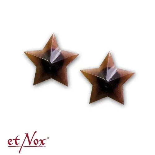 Sternen-Ohrstecker
