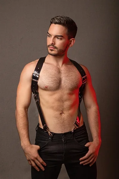 Synthetische Harness