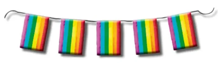 Wimpelgirlande Rainbow 10m